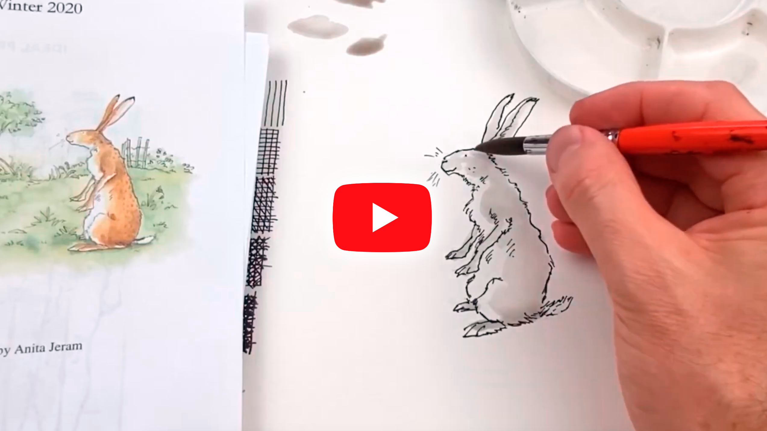 Children’s Book Illustration- Pen & Ink Wash Study.mp4